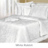 Постельное белье Cotton-Dreams White Rabbit-3534