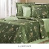 Cotton Dreams Luxeviva-8748