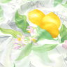 Постельное белье Cotton Dreams Lemon & Flowers-3784